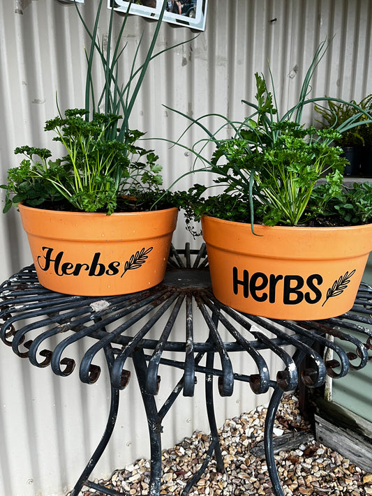 Herb Cottage Pot with Decal 30cm