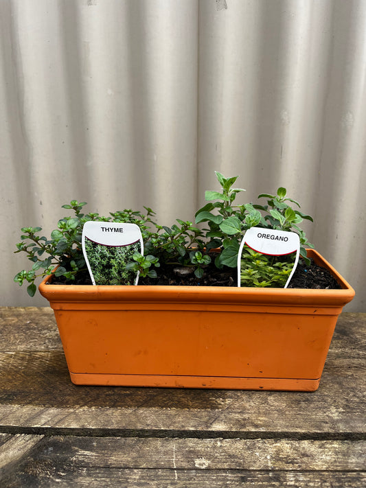 Terracotta Style Potted Herb Window Box