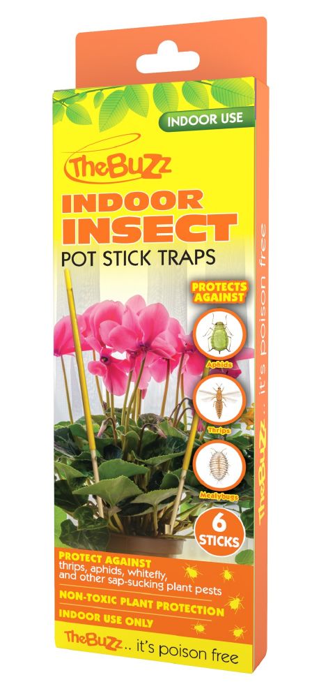 Insect Indoor Pot Traps 6pk