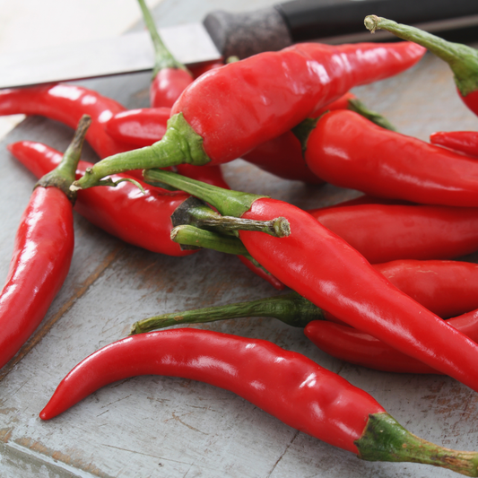 Chilli ‘Birdseye/Thai Hot’ 100mm