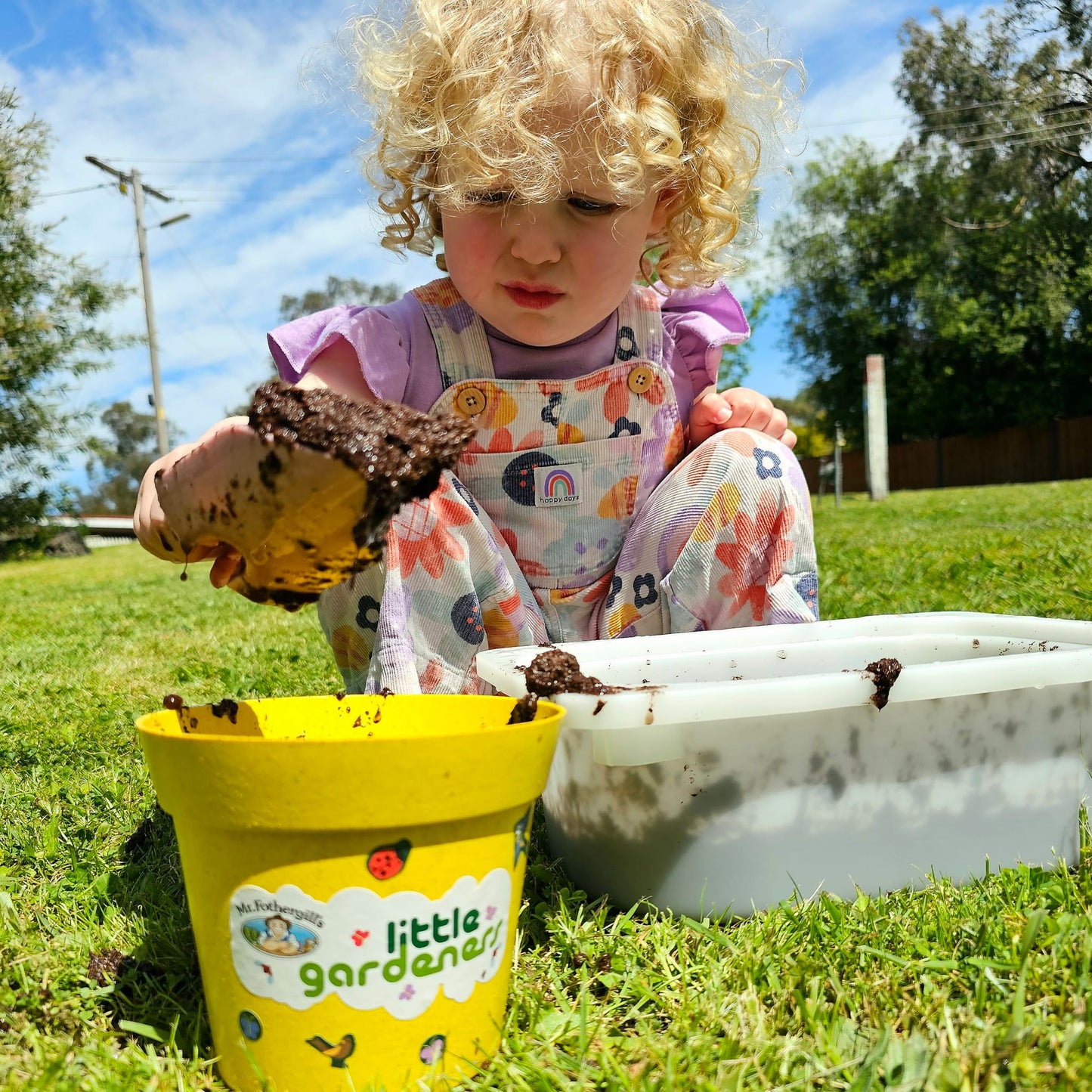 Little Gardeners Grow & Create Pot Mini Sunflower Grow Kit