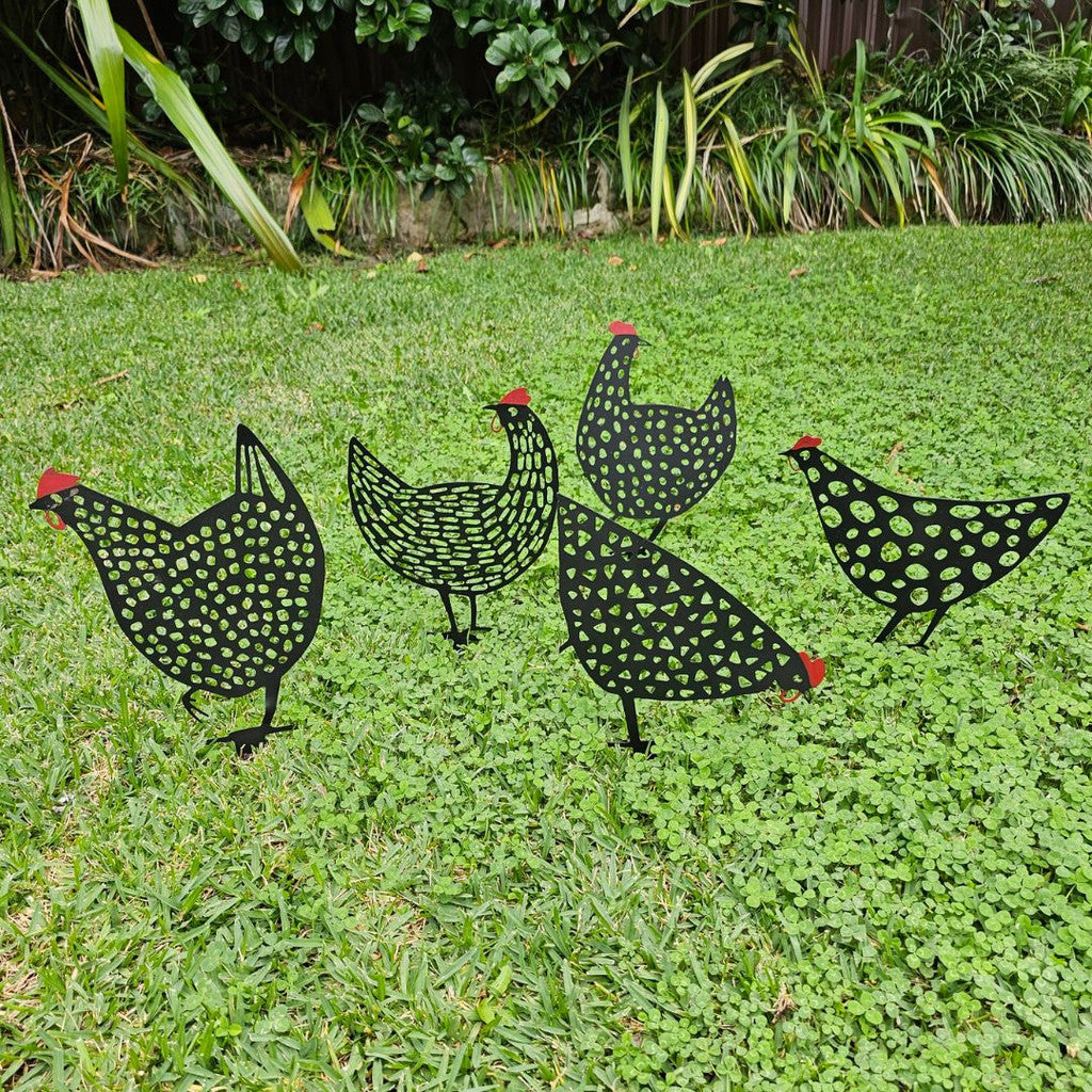 Black Hen Stakes Set of 5