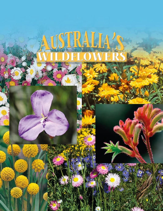 Australian Native Mix Wildflowers 1000 Seeds