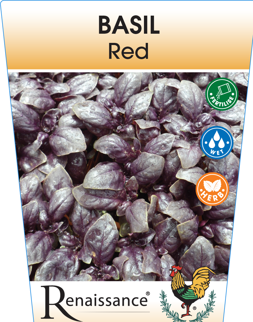 Basil Red Rubin 95mm