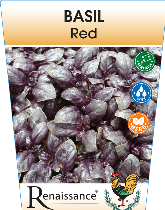 Basil Red Rubin 95mm