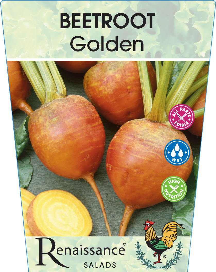 Beetroot Golden 95mm