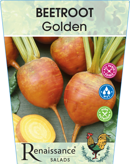Beetroot Golden 95mm