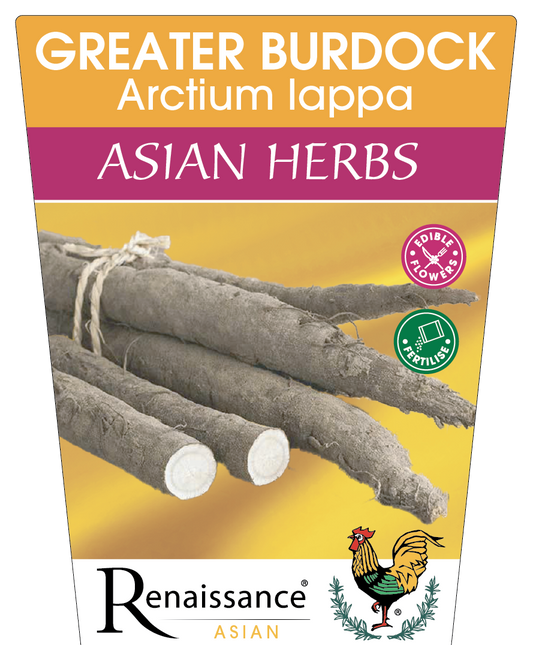 Burdock 95mm
