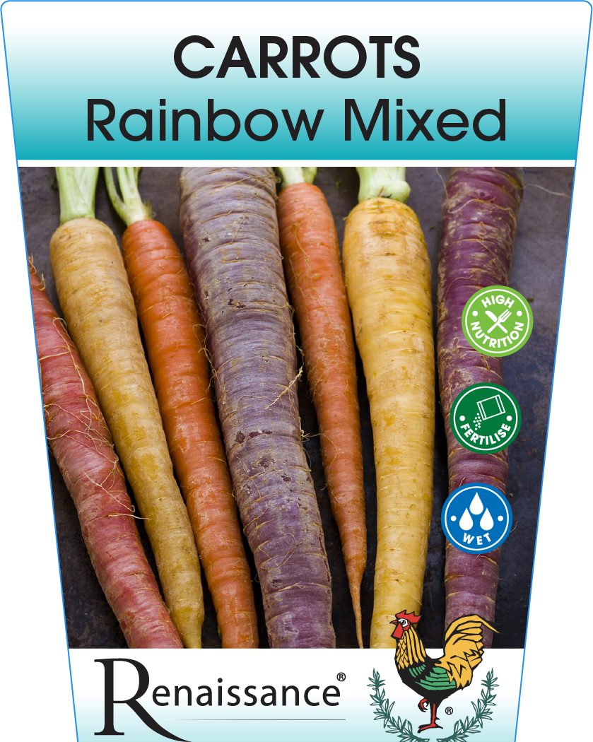 Carrot Rainbow Mixed 95mm