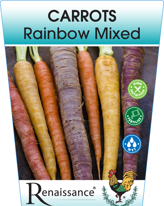 Carrot Rainbow Mixed 95mm
