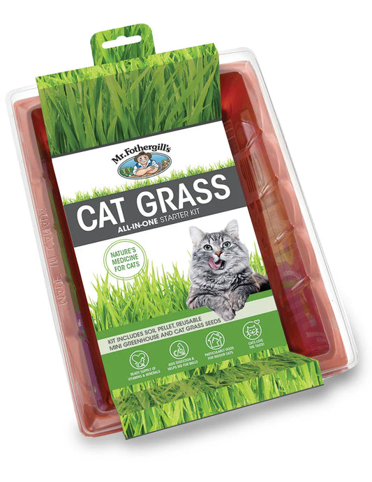 Seed Raiser Kit - Cat Grass