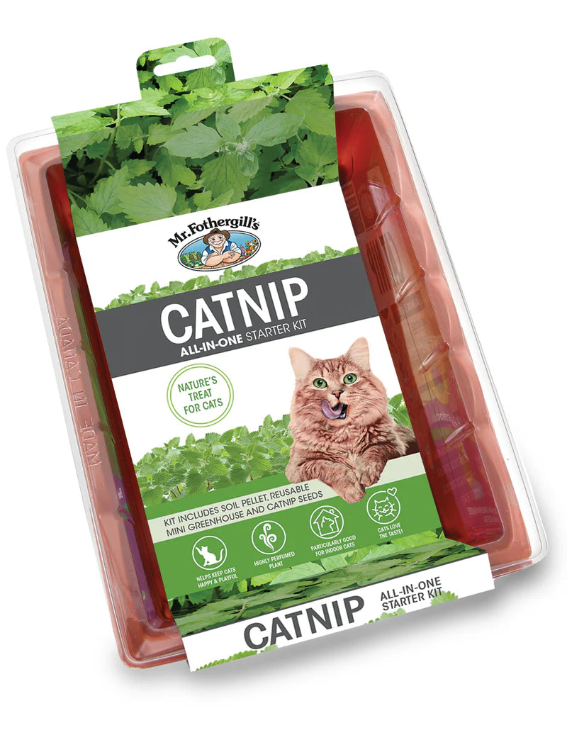 Seed Raiser Kit - Catnip