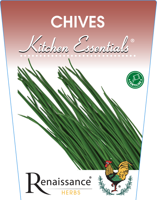 Chives Onion 95mm