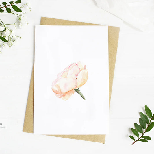 Delicate Rose - Well Drawn