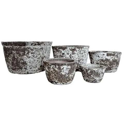Succulent Tub Oceanic White - Various Sizes