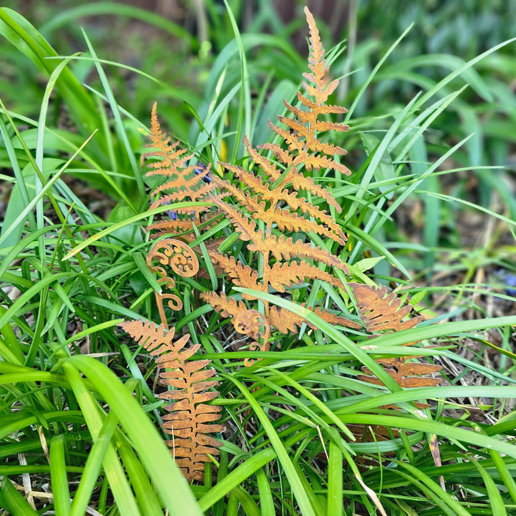 Rust Fern Stake - Set of 6
