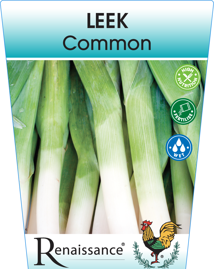 Leek 95mm