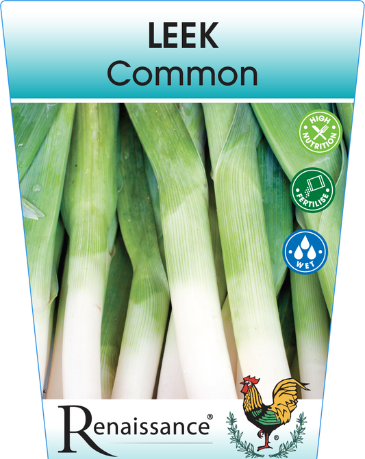 Leek 95mm