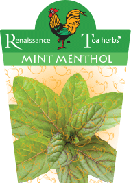 Mint - Menthol Mentha 95mm