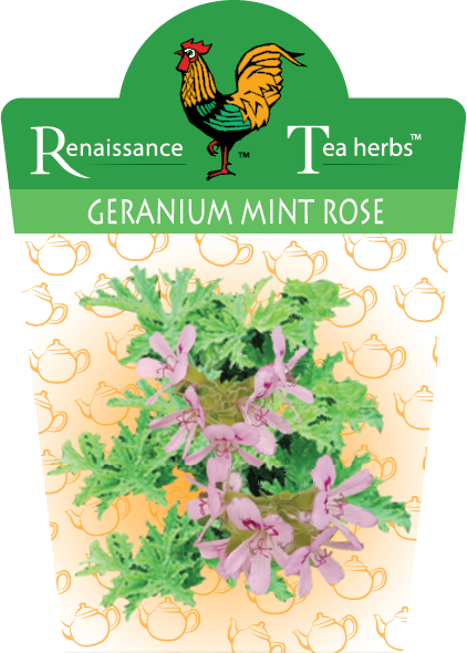 Geranium Peppermint Rose 95mm