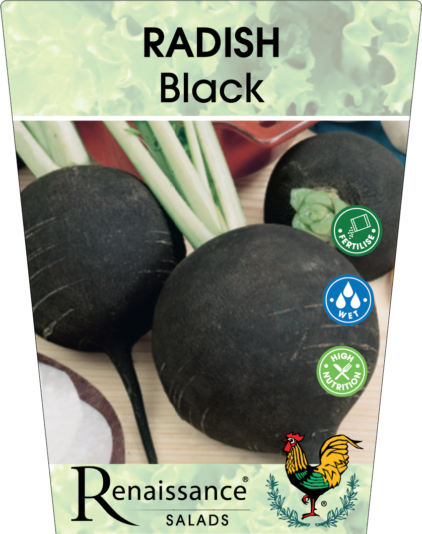 Radish Black 95mm