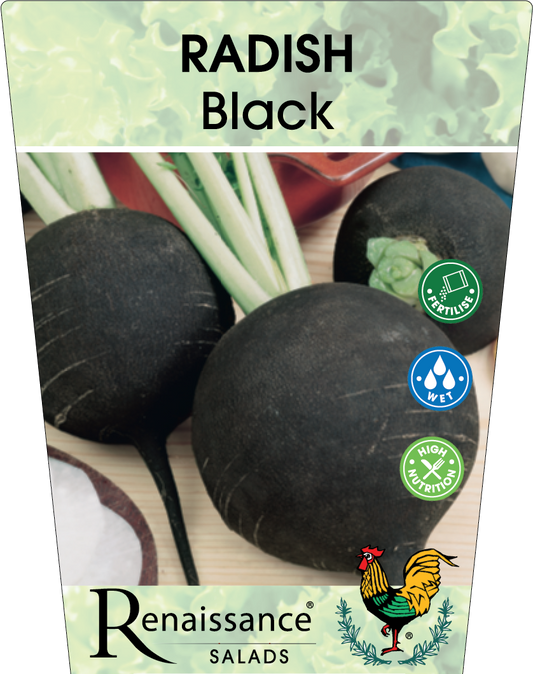 Radish Black 95mm