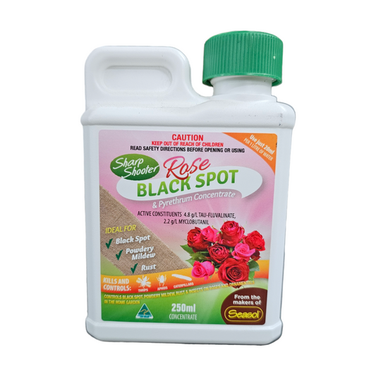 Rose Black Spot & Pyrethrum Concentrate 250ml