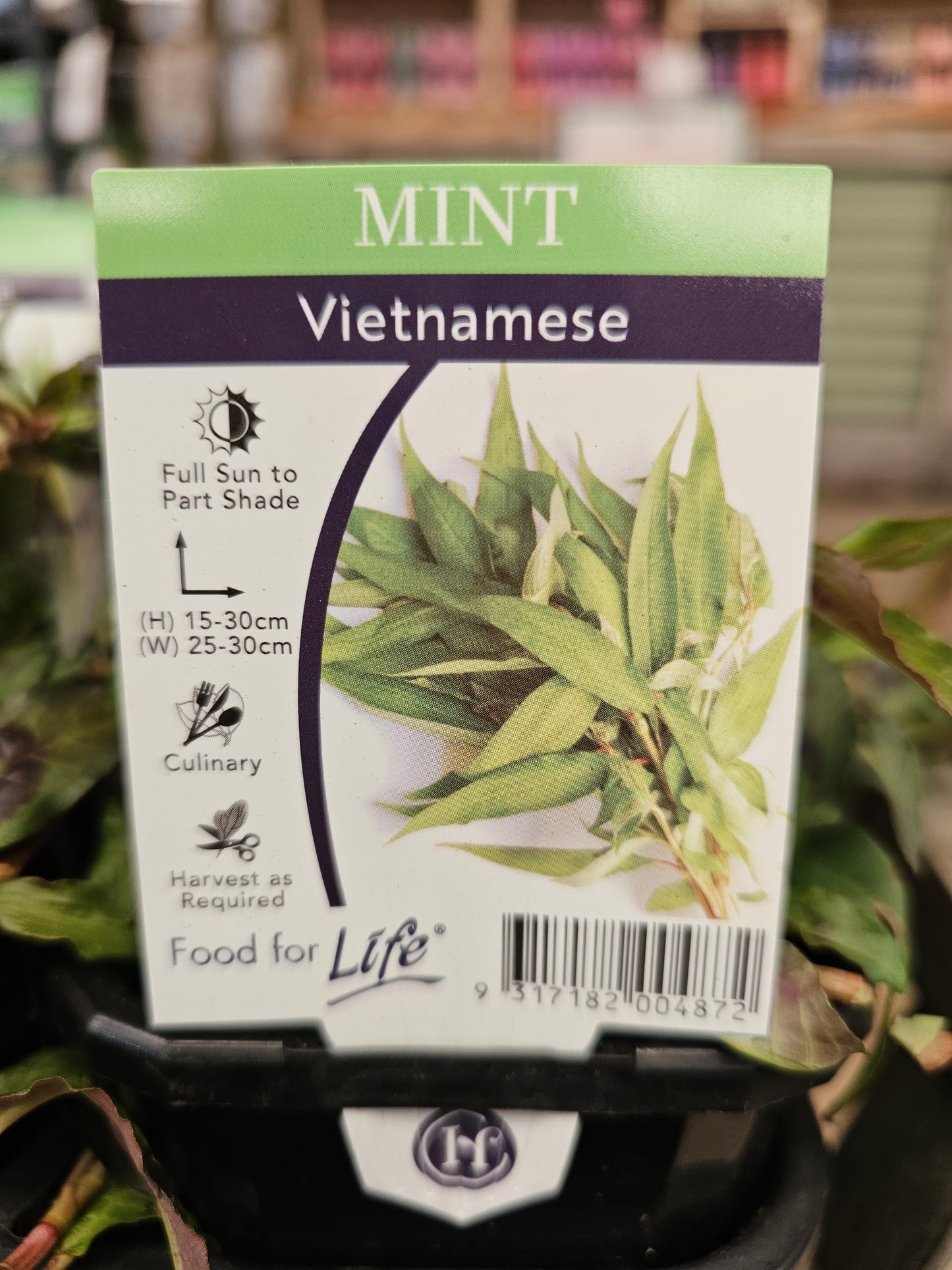 Mint Vietnamese 95mm