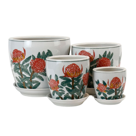 Hand Painted Waratah Pots - Various Sizes