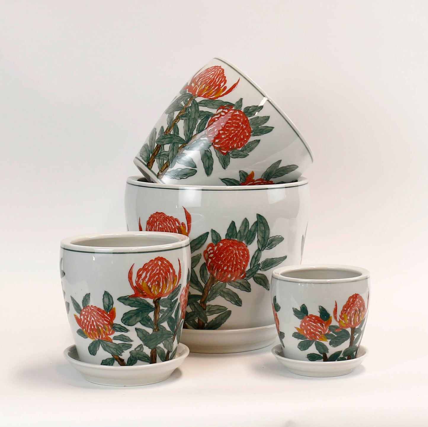 Hand Painted Waratah Pots - Various Sizes