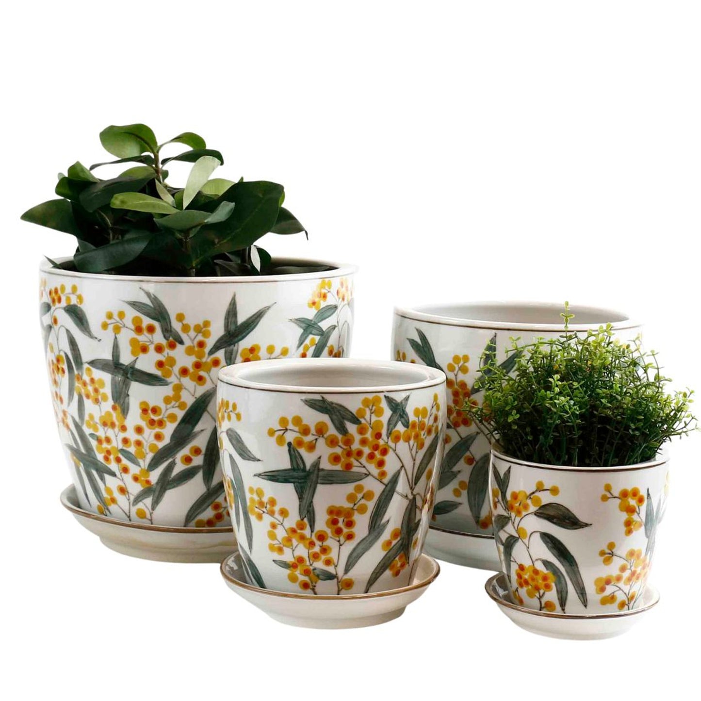 Hand Painted Wattle Pots - Various Sizes