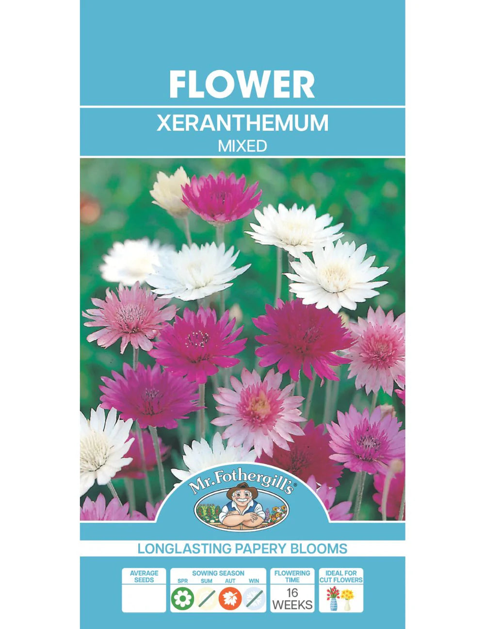 Mixed Xeranthemum Seeds 250 Seeds