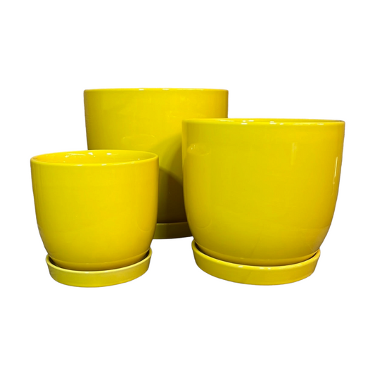 Yensi Egg Pot Yellow - Various Sizes
