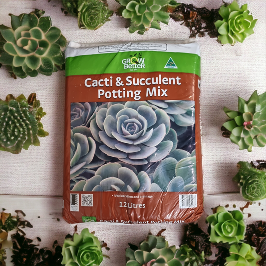 Cacti & Succulent Potting Mix - 12L