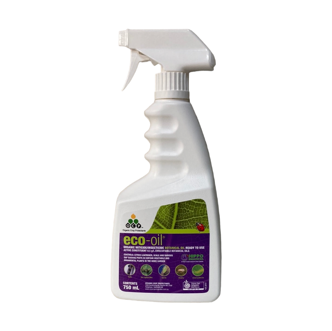 Eco-oil Spray Gun RTU 750ml