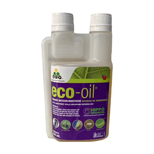 Eco-oil 250ml Concentrate