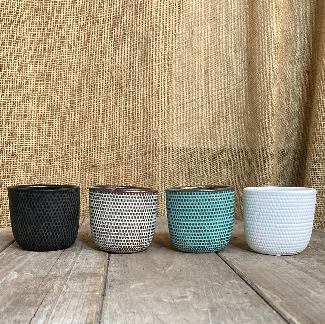 Mini Gift Pot - Various Colours