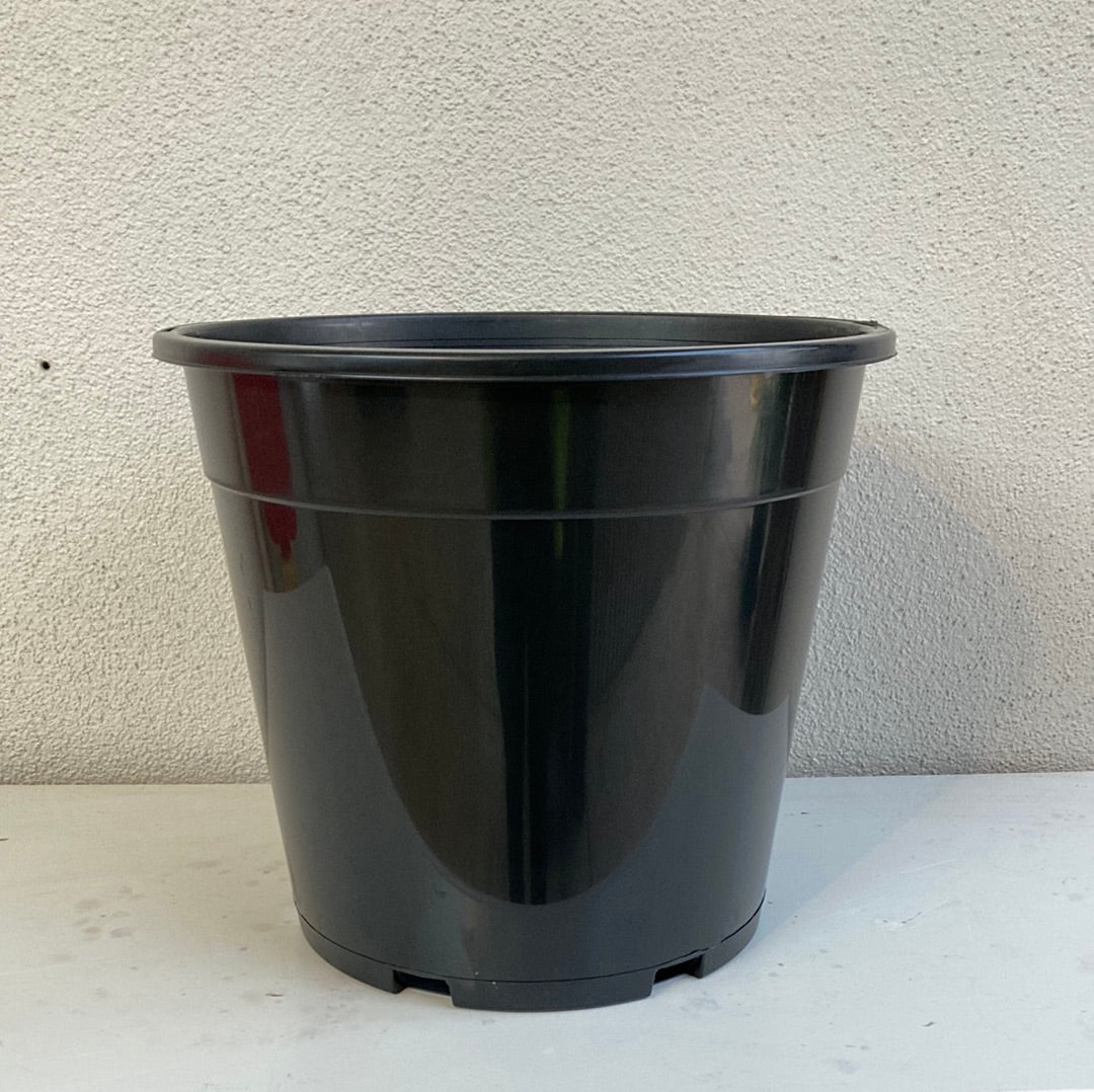 Pot Black 250mm