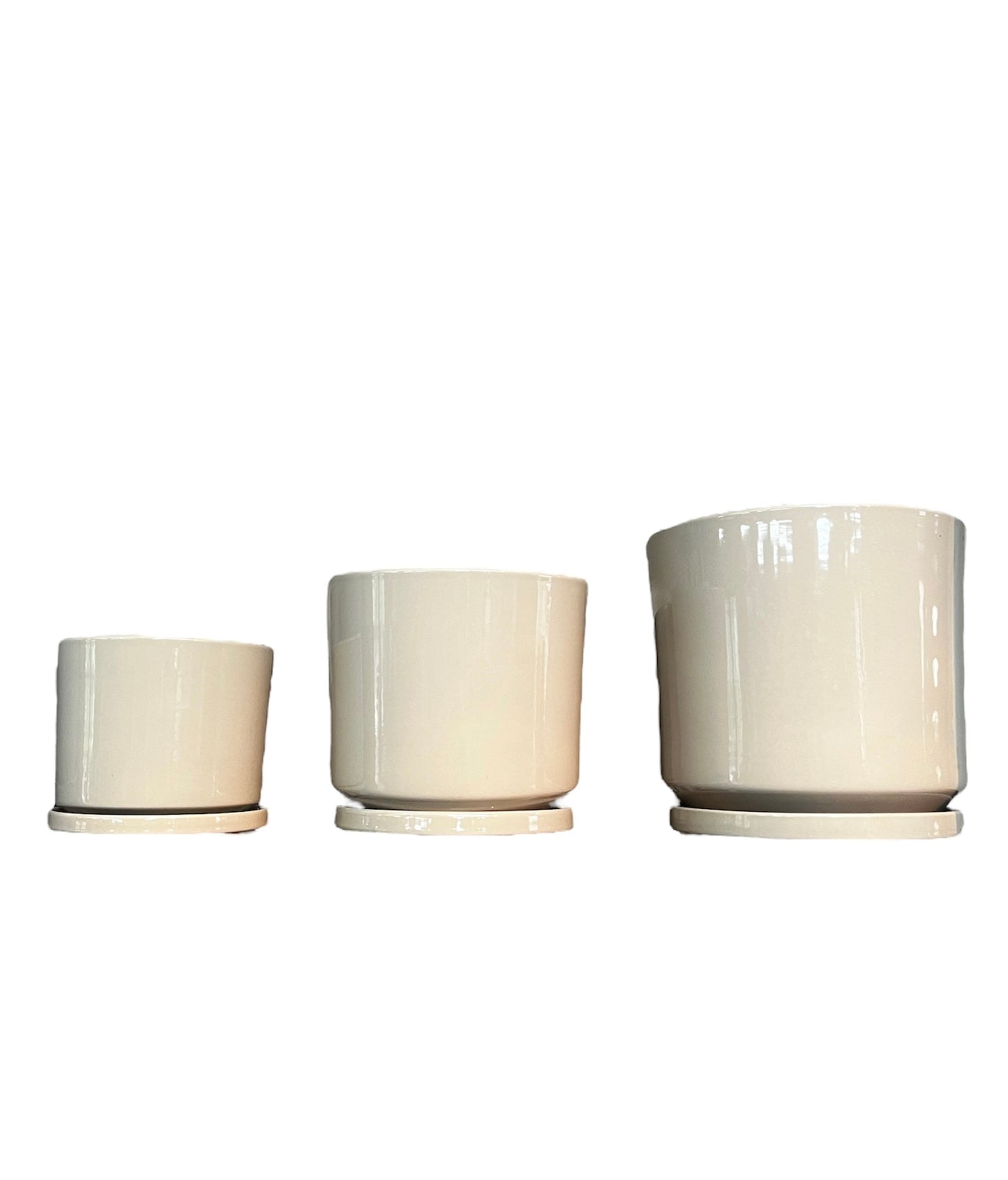 Akira Cylinder Mushroom - Various Sizes