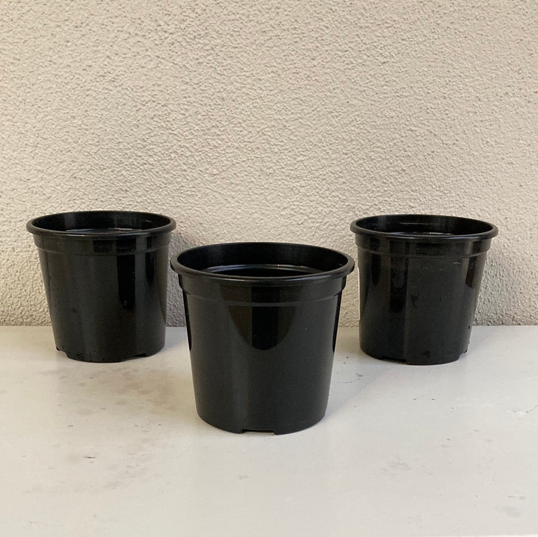 Pot Black 105mm