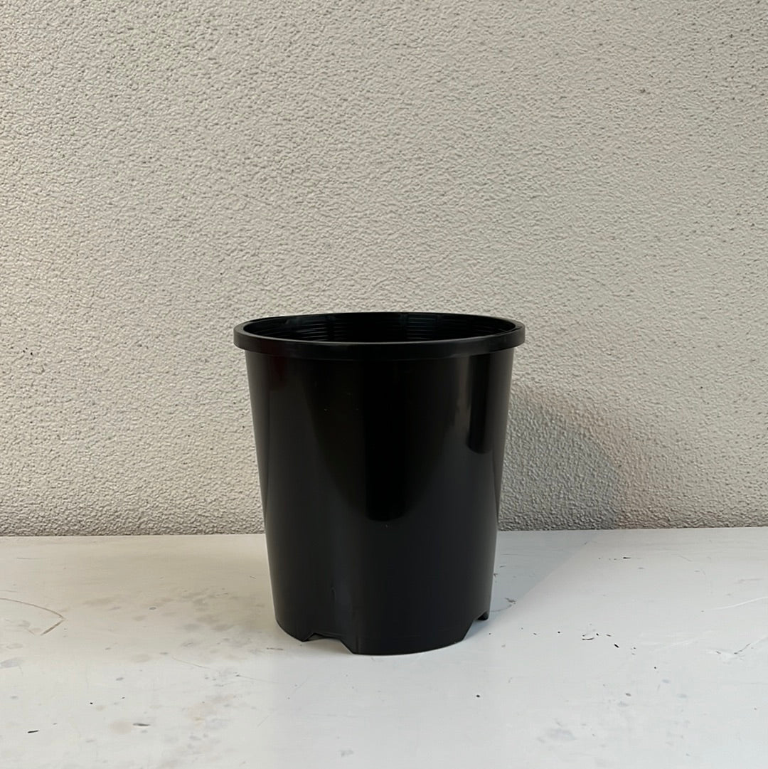 Pot Black 140mm