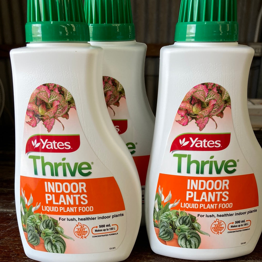 Thrive Indoor Plants Liquid Plant Food 500ml